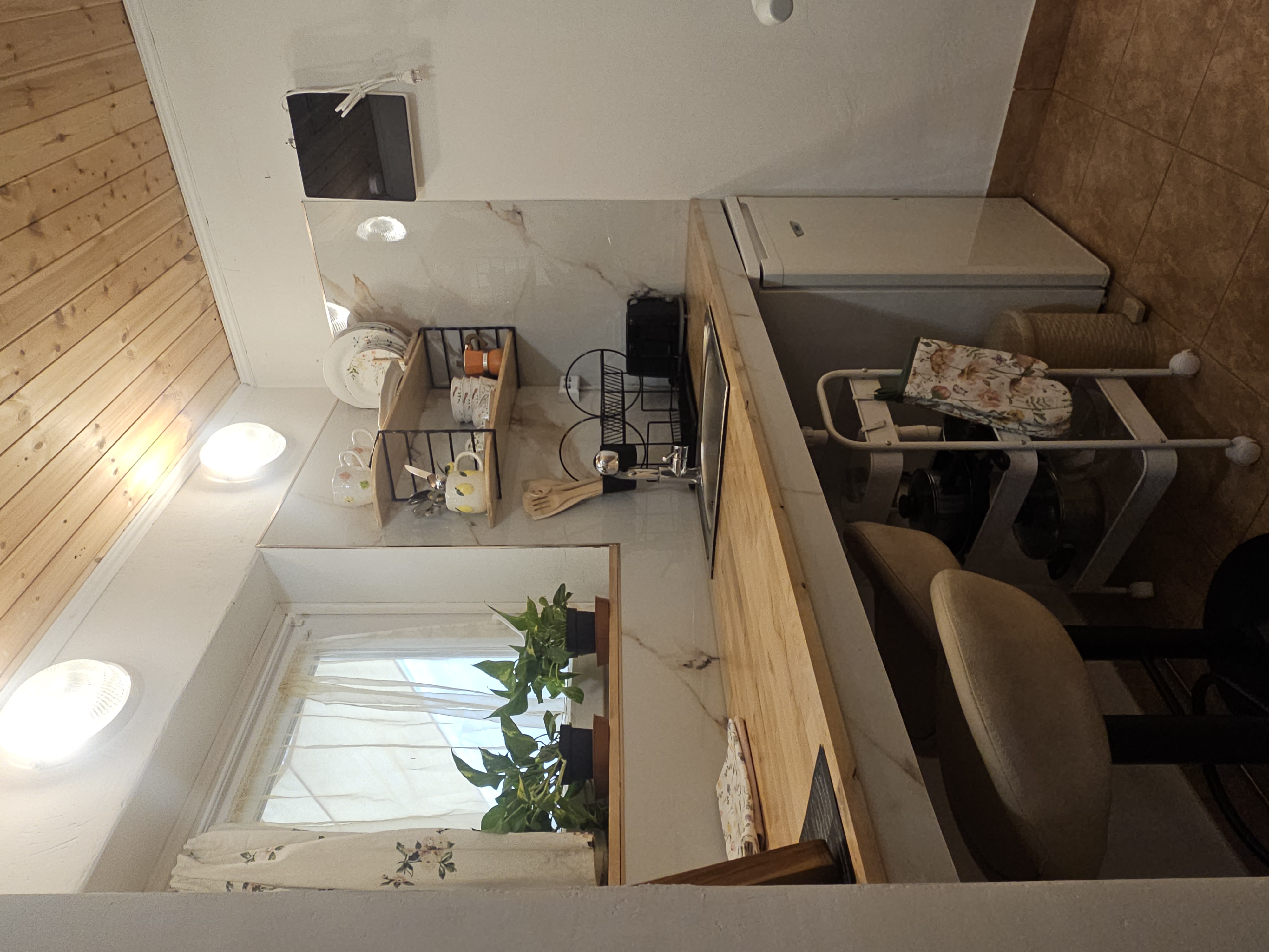 Cozy living space with plants and shelves